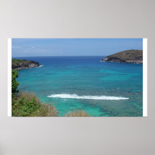 Hanauma Bay Poster