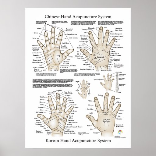 Hand Acupuncture Points Therapy Poster | Zazzle