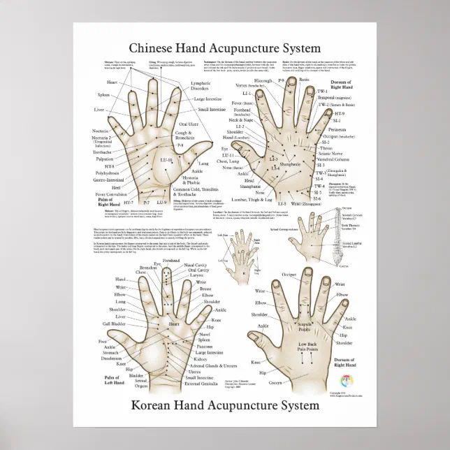Les Explained Hand Guide Hand Acupuncture Chart Human Hand Acupuncture Model Left Hand