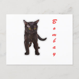 Hand Draw Funny Bombay Cat Japan Gift Dad Mum Postcard