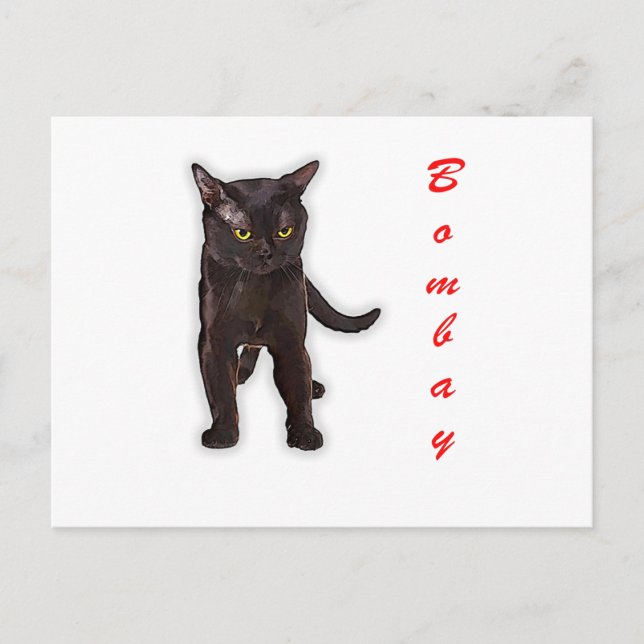 Hand Draw Funny Bombay Cat Japan Gift Dad Mum Postcard (Front)