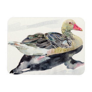 Hand Draw Watercolor Bird, Duck Magnet