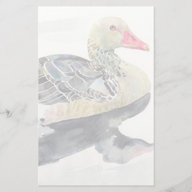 Hand Draw Watercolor Bird, Duck Stationery (Front)
