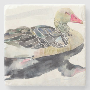 Hand Draw Watercolor Bird, Duck Stone Coaster
