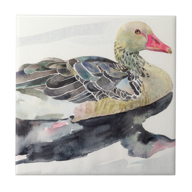 Hand Draw Watercolor Bird, Duck Tile (Front)