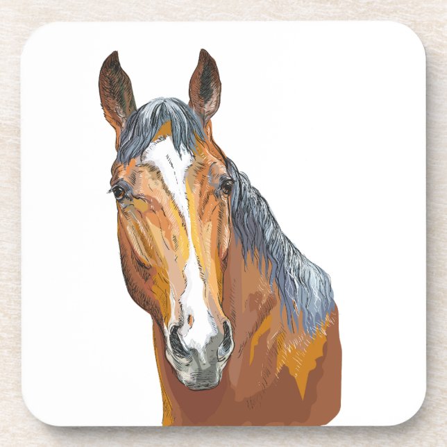 Hand drawing bay horse throw pillow coaster (Front)