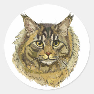 Hand drawing fluffy Maine Coon cat Classic Round Sticker