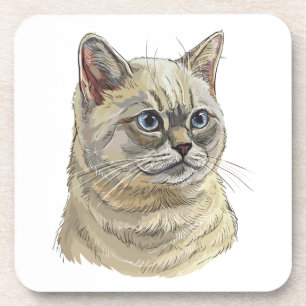 Hand drawing funny British cat Throw Pillow Coaster
