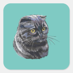 Hand drawing funny fluffy Black brittish cat. Square Sticker