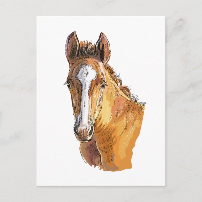 Hand drawing little cute foal throw pillow wood wa postcard (Front)