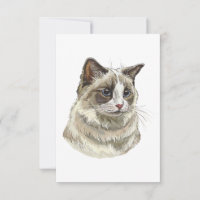 Hand drawing luffy Ragdoll cat