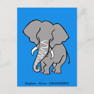  Hand drawn African  ELEPHANT Conservation -- Blue Postcard