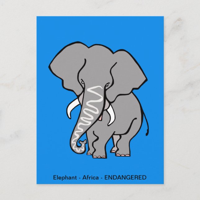  Hand drawn African  ELEPHANT Conservation -- Blue Postcard (Front)