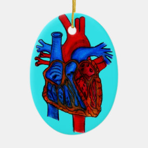 Hand Drawn Aqua Anatomical Heart Ceramic Tree Decoration