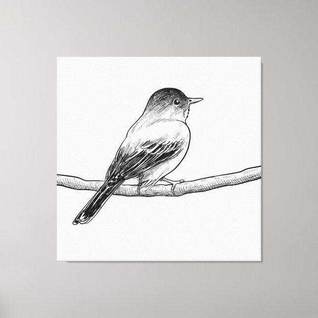 Hand drawn bird illustration canvas print (Front)