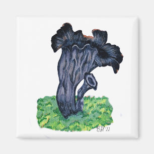 Hand Drawn Black Trumpet Mushroom Magnet