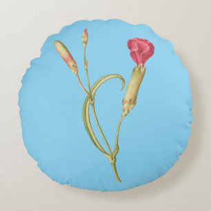 Hand drawn Blooming pink dianthus flower BLUE BK Round Cushion