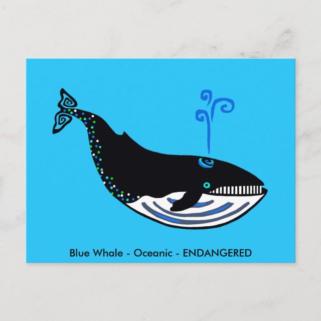 Hand drawn - Blue WHALE -Conservation - Nature Postcard (Front)