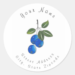 Hand Drawn Blueberries 3 Classic Round Sticker