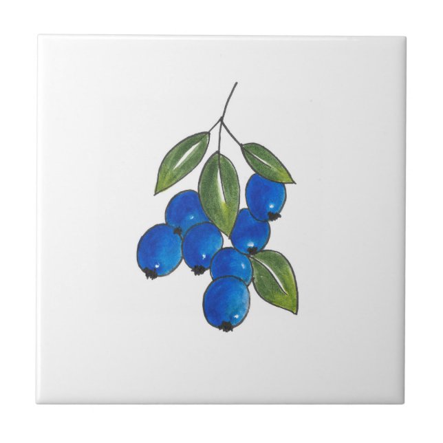 Hand Drawn Blueberries Tile (Front)