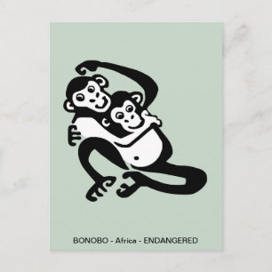 Hand drawn  BONOBO- Chimpanzee -Wildlife - Primate Postcard