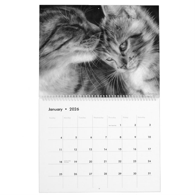 Hand Drawn Cats Wild and Domestic Felines Calendar (Jan 2026)