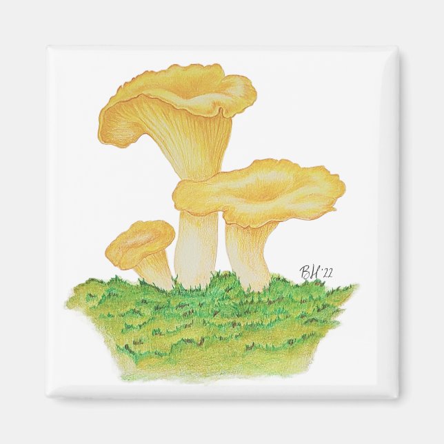 Hand Drawn Chanterelle Mushroom Magnet (Front)