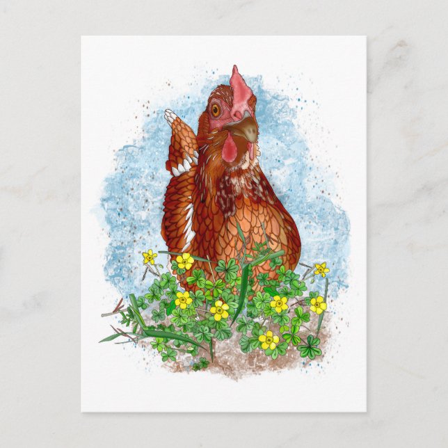 Hand drawn Chicken Art  Postcard (Front)