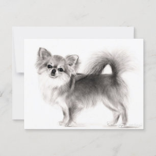 Hand Drawn Chihuahua Postcard