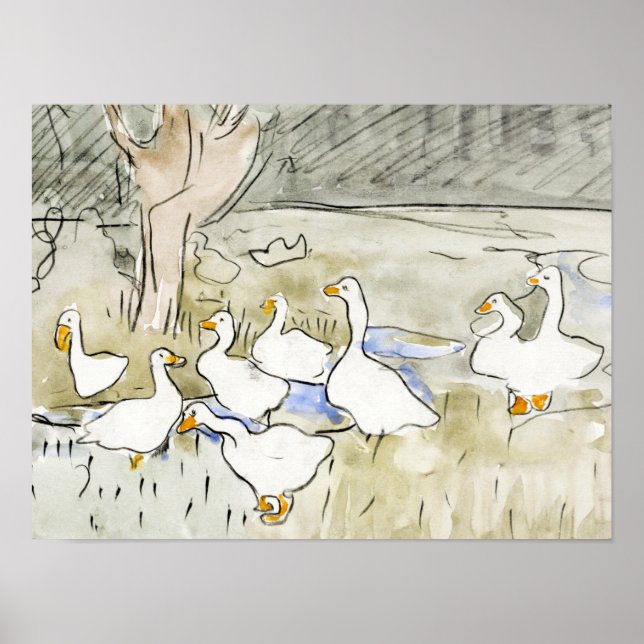 Hand Drawn Cute Duck Photos White Duck Clipart Fam Poster (Front)