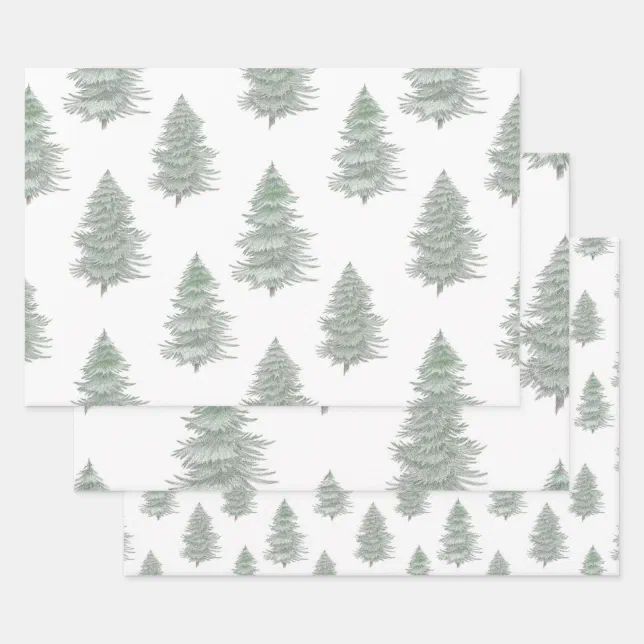 Hand Drawn Evergreen Tree Pattern Wrapping Paper Sheet | Zazzle