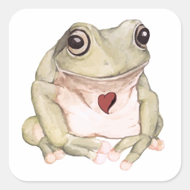 Hand drawn green tree frog   square sticker (Front)