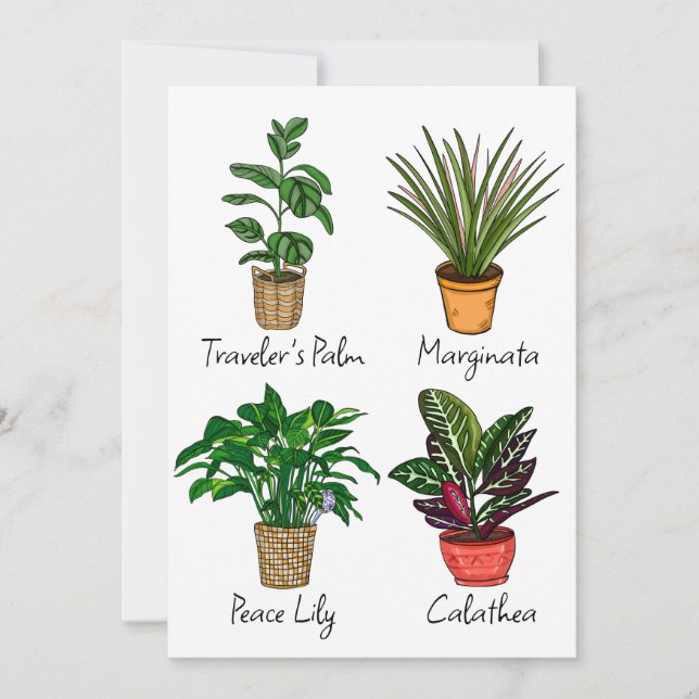 Hand Drawn House Plants Art Card (Front)