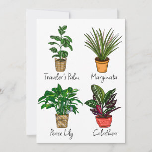 Hand Drawn House Plants Art Card