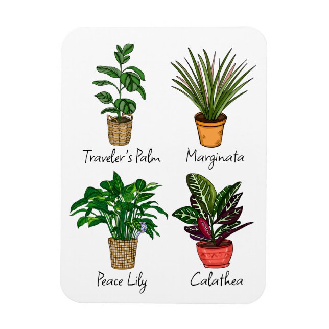 Hand Drawn House Plants Art  Magnet (Vertical)