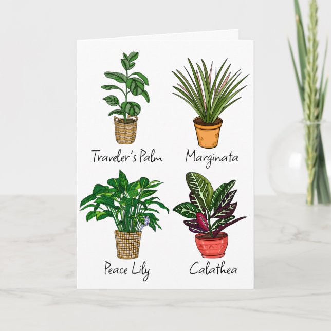 Hand Drawn House Plants | Happy Birthday  Card (Front)