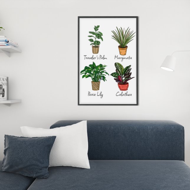 Hand Drawn House Plants Wall Art (Creator Uploaded)
