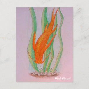 Hand Drawn Koi Carp Postcard