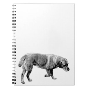 Hand‑Drawn Labrador Notebook
