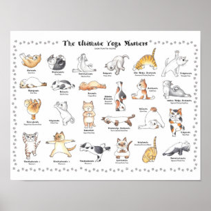 Hand-drawn lovable  yogi cats poster