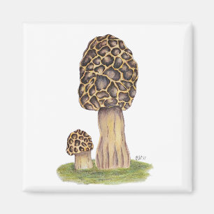 Hand Drawn Morel Mushroom Magnet