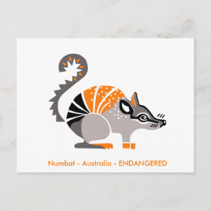 Hand drawn - NUMBAT - Marsupial - Australia Postcard