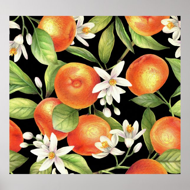 Hand Drawn Oranges: Floral Illustration. Poster (Front)
