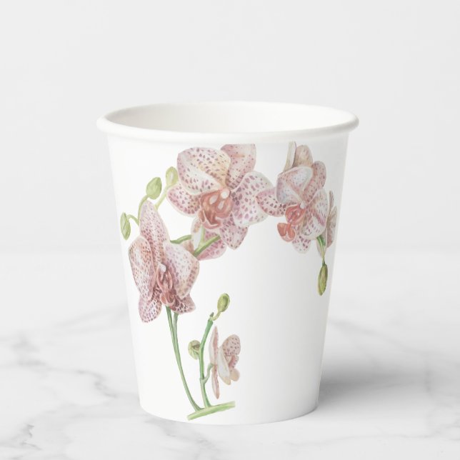 Hand Drawn Orchid  Paper Cups (Front)