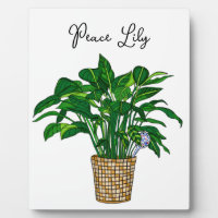Hand drawn Peace Lily