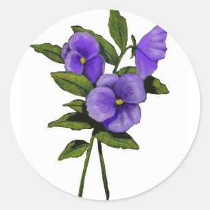 Hand Drawn Purple Pansies On White Classic Round Sticker