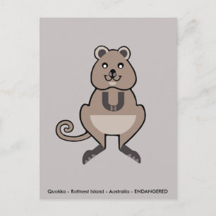 Hand drawn QUOKKA -Marsupial - Endangered animal - Postcard