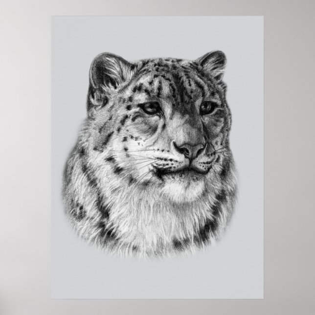 Hand-Drawn Snow Leopard  Poster (Front)