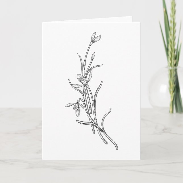 Hand Drawn Snowdrop Flower Folded Greeting Card (Front)