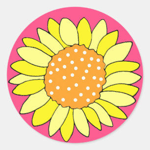 Hand Drawn Sunflower Pink Background Classic Round Sticker